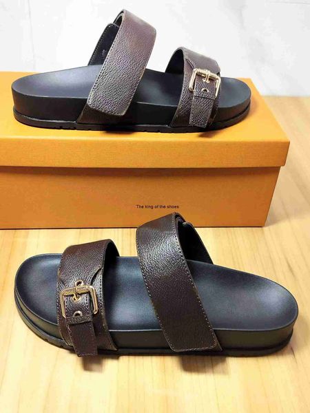 slipper bom dia flat mule 1a3r5m cool effortlessly stylish slides 2 straps with adjusted gold buckles women and men summer slippers sandals, Black
slipper bom dia flat mule 1a3r5m cool effortlessly stylish slides 2 straps with adjusted gold buckles women and men summer slippers sandals, Black