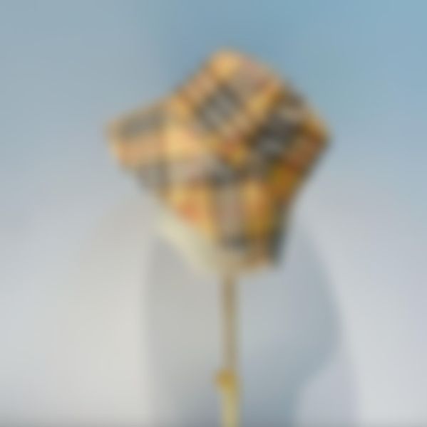 bucket hat classic striped plaid designers hats luxury caps sunshade men and women elegant charm fashion trend casual four seasons gift summ, Blue;gray
bucket hat classic striped plaid designers hats luxury caps sunshade men and women elegant charm fashion trend casual four seasons gift summ, Blue;gray
