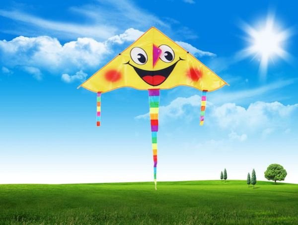 chinese kite outdoor game activities medium traditional foldable kite whole recreation products kids gift yy284274036
chinese kite outdoor game activities medium traditional foldable kite whole recreation products kids gift yy284274036