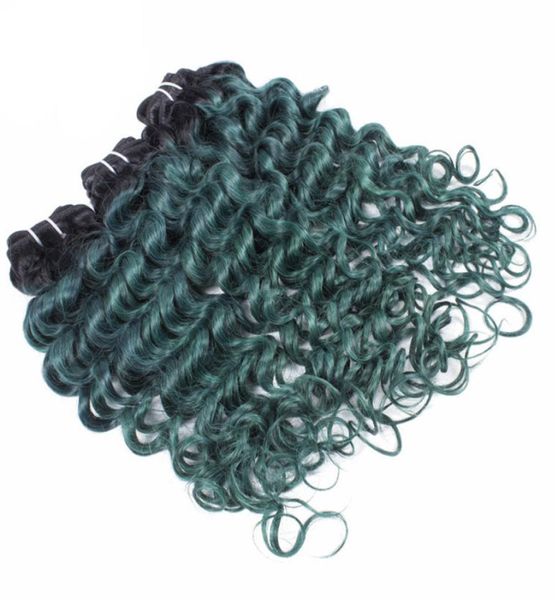 ombre human hair bundles deep wave green two tone colored deep curly hair weft brazilian virgin hair weave3641296, Black;brown
ombre human hair bundles deep wave green two tone colored deep curly hair weft brazilian virgin hair weave3641296, Black;brown