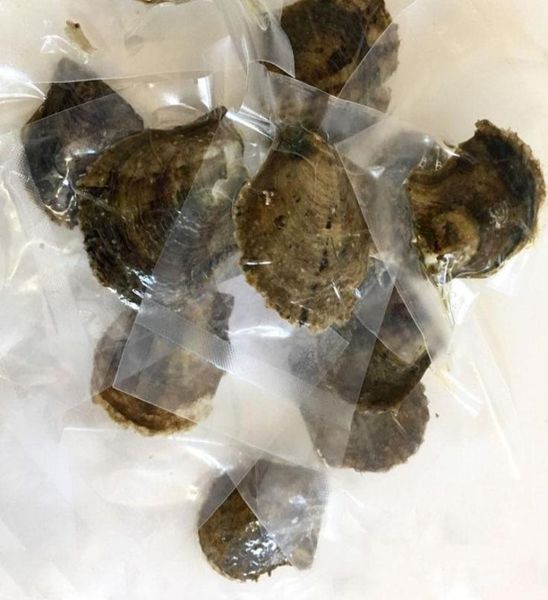 2018 akoya oyster pearl 78mm round single pearl in oysters akoya oyster with colouful pearls jewelry gift by vacuum packing1377202, Blue;slivery
2018 akoya oyster pearl 78mm round single pearl in oysters akoya oyster with colouful pearls jewelry gift by vacuum packing1377202, Blue;slivery