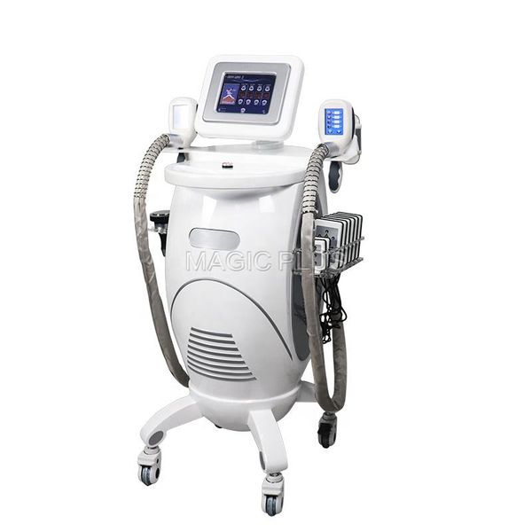 whole body cryotherapy slimming machine fat e weight reduction slimming beauty equipment rf cavitation fat burner device for beauty salon
whole body cryotherapy slimming machine fat e weight reduction slimming beauty equipment rf cavitation fat burner device for beauty salon