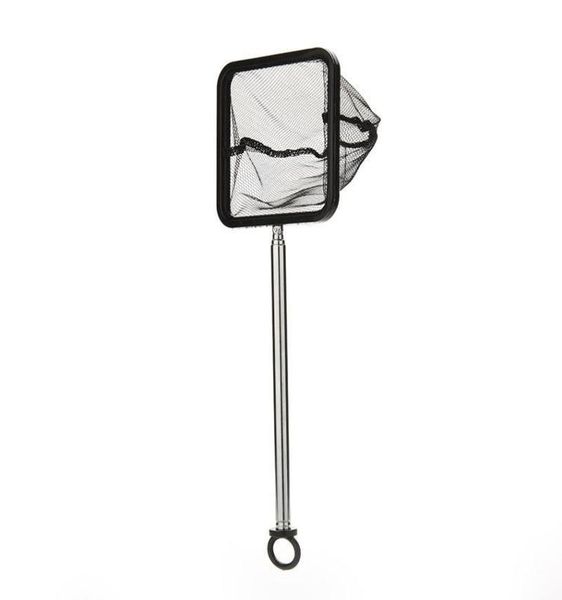 1pc 2040cm aquarium extendable handle shrimp small betta fish tank net square black 66 w21385573
1pc 2040cm aquarium extendable handle shrimp small betta fish tank net square black 66 w21385573