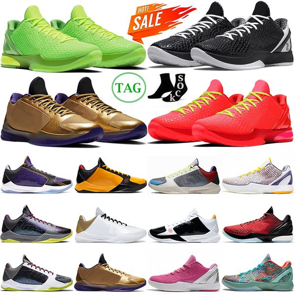 reverse grinch 6 mamba basketball shoes mens protro prelude mambacita 5 alternate bruce lee del sol hall of fame laker lakers outdoor men tr
reverse grinch 6 mamba basketball shoes mens protro prelude mambacita 5 alternate bruce lee del sol hall of fame laker lakers outdoor men tr