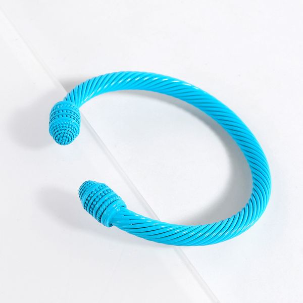 fashion painted steel wire rope muticolor enamel bangle bracelet cable wire bracelet designer brand jewelry, Black
fashion painted steel wire rope muticolor enamel bangle bracelet cable wire bracelet designer brand jewelry, Black
