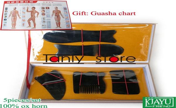 gift guasha chart whole retail traditional acupuncture massage hard box gua sha kit 5pcsset 100 ox horn8539391
gift guasha chart whole retail traditional acupuncture massage hard box gua sha kit 5pcsset 100 ox horn8539391