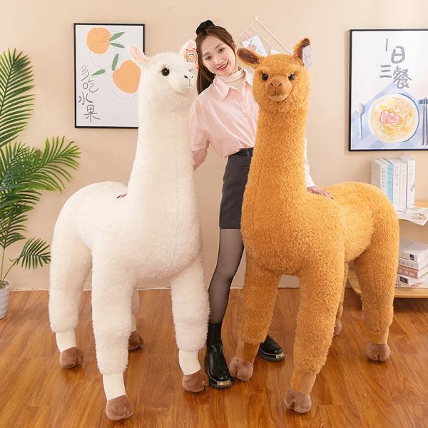 plush Imitation alpaca Toy Large ornaments Living room Shopping mall Wholesale Large Doll Gifts Birthday Opening, White
plush Imitation alpaca Toy Large ornaments Living room Shopping mall Wholesale Large Doll Gifts Birthday Opening, White