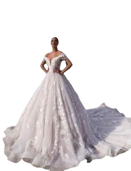 full lace a line wedding dresses off shoulders 3d-floral lace appliques bridal gowns with corset back tulle long court train, White
full lace a line wedding dresses off shoulders 3d-floral lace appliques bridal gowns with corset back tulle long court train, White