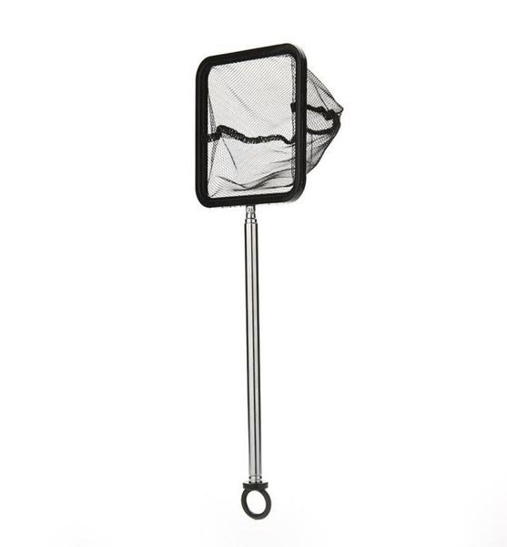 1pc 2040cm aquarium extendable handle shrimp small betta fish tank net square black 66 w26947247
1pc 2040cm aquarium extendable handle shrimp small betta fish tank net square black 66 w26947247