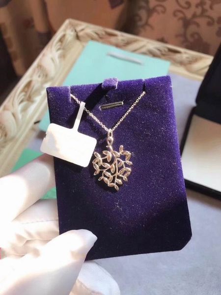 2023 lovely cute pendant necklaces long silver thin stainless steel chain leafs designer women necklace with blue dust bag and box
2023 lovely cute pendant necklaces long silver thin stainless steel chain leafs designer women necklace with blue dust bag and box