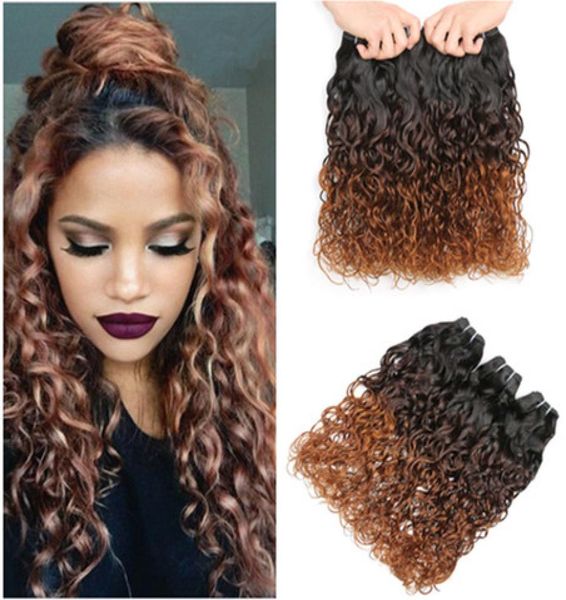 1b430 auburn ombre brazilian wet and wavy human hair weaves 3pcs black brown auburn 3tone ombre virgin hair bundles water wave7259966
1b430 auburn ombre brazilian wet and wavy human hair weaves 3pcs black brown auburn 3tone ombre virgin hair bundles water wave7259966