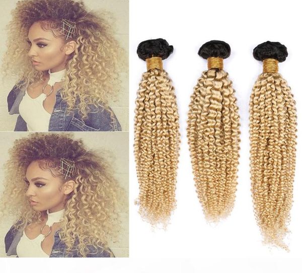 blonde ombre brazilian human hair weave bundles 3pcs lot kinky curly 1b 613 blonde ombre virgin human hair wefts 1030quot mixe2091663, Black
blonde ombre brazilian human hair weave bundles 3pcs lot kinky curly 1b 613 blonde ombre virgin human hair wefts 1030quot mixe2091663, Black