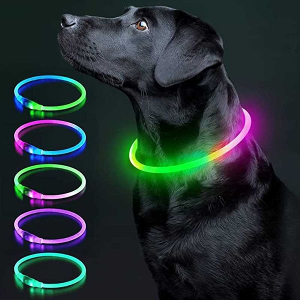 dog collars led luminous dog collar light rechargeable dog necklace fashion flashing diy glowing safety collar for dogs nighttime walking r2
dog collars led luminous dog collar light rechargeable dog necklace fashion flashing diy glowing safety collar for dogs nighttime walking r2
