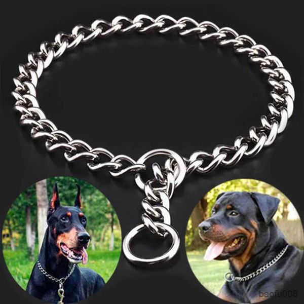 dog collars pet snake chain collar dog choke collar stainless steel ship chain for dogs adjustable dog training choke collar for r230609
dog collars pet snake chain collar dog choke collar stainless steel ship chain for dogs adjustable dog training choke collar for r230609