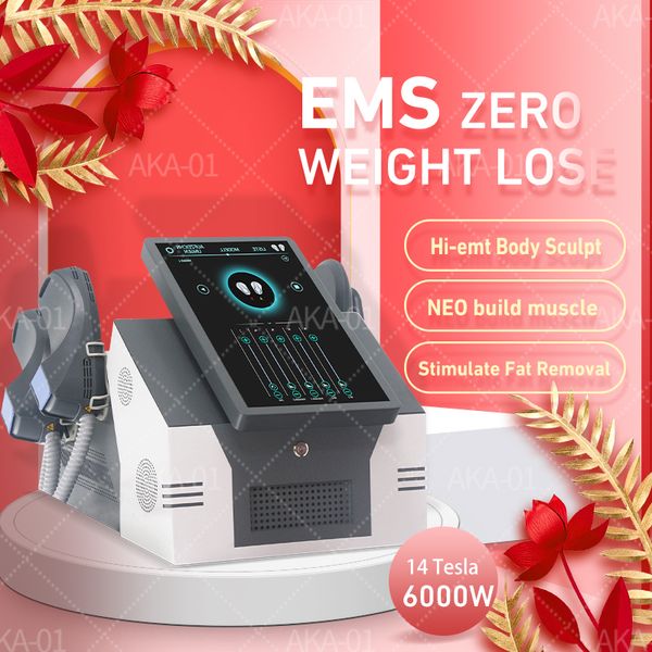 

DLS-Emslim Nova 14 Tesla Hi-emt Slimming EMS Machine 5000W Emszero Hiemt Nova Neo Body Sculpt Pelvic Floor Muscle Stimulate Equip