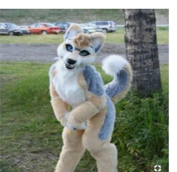 long fur brown white husky dog fursuit mascot costume suit party game dress size halloween dress size costume walking hallowe, Red;yellow
long fur brown white husky dog fursuit mascot costume suit party game dress size halloween dress size costume walking hallowe, Red;yellow