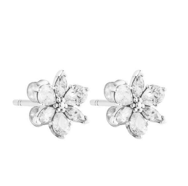 2023 new 925 sterling silver sparkling herbarium cluster stud earrings for women fine jewelry ear brincos mother's day, Golden;silver
2023 new 925 sterling silver sparkling herbarium cluster stud earrings for women fine jewelry ear brincos mother's day, Golden;silver