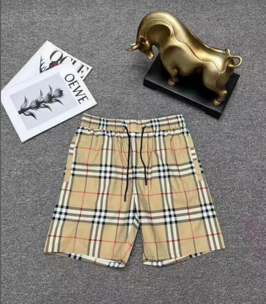 2023ssmens shorts designers casual short basketball cashmere hawaii beach embroidery letter print sport running short hip hop streetwear, White;black
2023ssmens shorts designers casual short basketball cashmere hawaii beach embroidery letter print sport running short hip hop streetwear, White;black