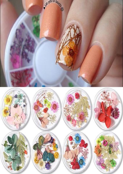 selling 1 box 3d nail art decorations pink yellow purple nail colorful preserved fresh dried flowers diy design accessories na6500275, Black
selling 1 box 3d nail art decorations pink yellow purple nail colorful preserved fresh dried flowers diy design accessories na6500275, Black