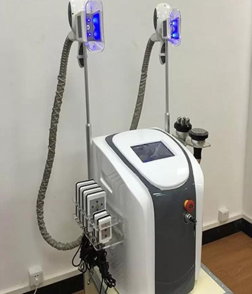 2021 super professional cryolipolysis fat ze slimming body sculpting machine 2 cryo handles cavitation rf lipolaser salon equi1897326
2021 super professional cryolipolysis fat ze slimming body sculpting machine 2 cryo handles cavitation rf lipolaser salon equi1897326