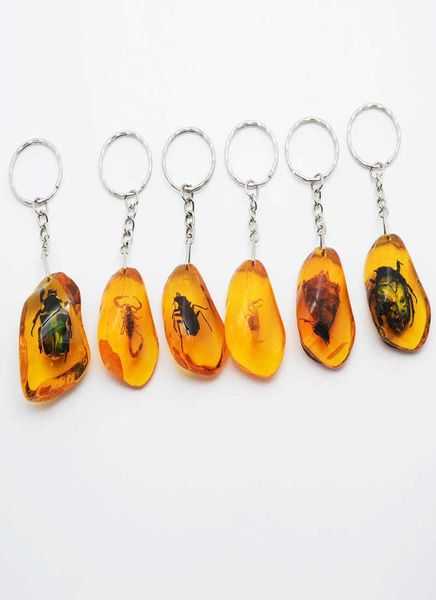 6pcsset real scorpion key chain new luminous product real crab and scorpion keychain bag car key ring g10199654776, Silver
6pcsset real scorpion key chain new luminous product real crab and scorpion keychain bag car key ring g10199654776, Silver