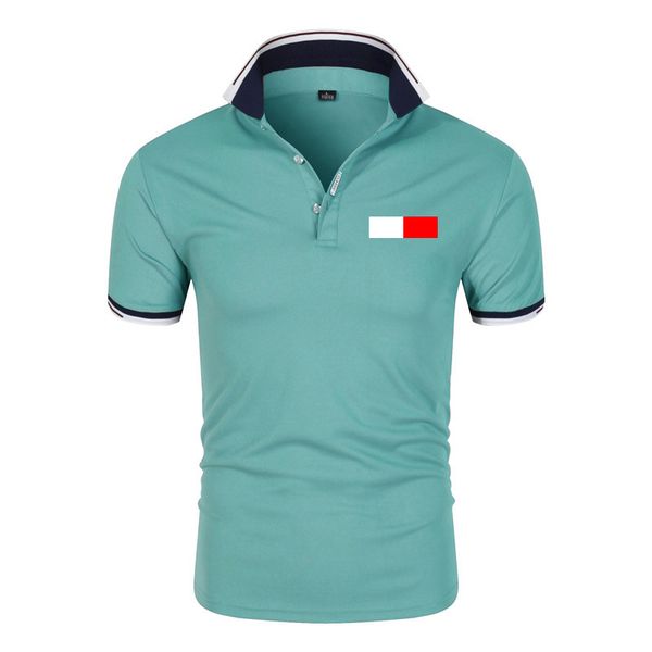 men's fashion polo shirt luxury italian men's t-shirts short sleeve fashion casual men's summer tommy t-shirt various colors, White;black
men's fashion polo shirt luxury italian men's t-shirts short sleeve fashion casual men's summer tommy t-shirt various colors, White;black
