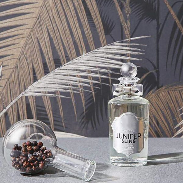 2023 designer fragrances gin juniper sling edt 100ml premium eau de toilette 3.4fl.oz fast shipping
2023 designer fragrances gin juniper sling edt 100ml premium eau de toilette 3.4fl.oz fast shipping