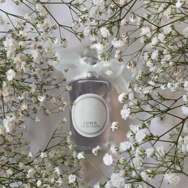 lady brand perfume 100ml luna women good smelling spray eau de toilette gifts ing
lady brand perfume 100ml luna women good smelling spray eau de toilette gifts ing