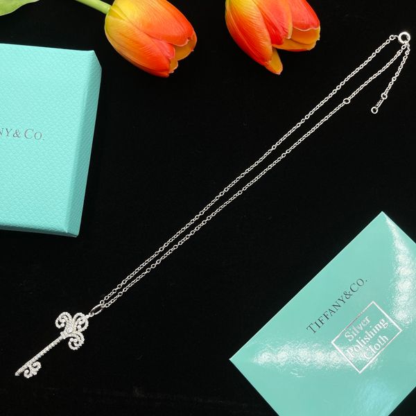 t home heart necklace womens stainless steel 19mm couple pendant blue pink green red jewelry on the neck valentine day gift for girlfriend a, Silver
t home heart necklace womens stainless steel 19mm couple pendant blue pink green red jewelry on the neck valentine day gift for girlfriend a, Silver