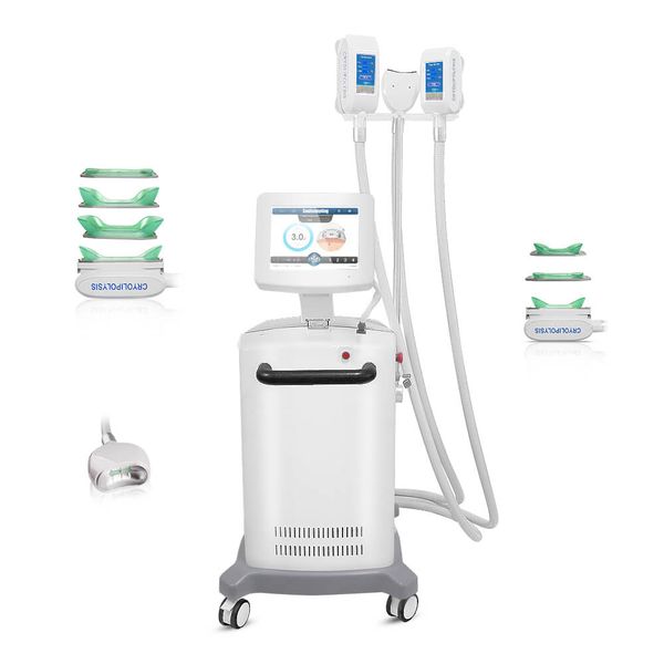 professional 3 handles double chin cryolipolysis treatent vacuum cold cool cryo therapy fat e ing sweight loss slimming machine
professional 3 handles double chin cryolipolysis treatent vacuum cold cool cryo therapy fat e ing sweight loss slimming machine