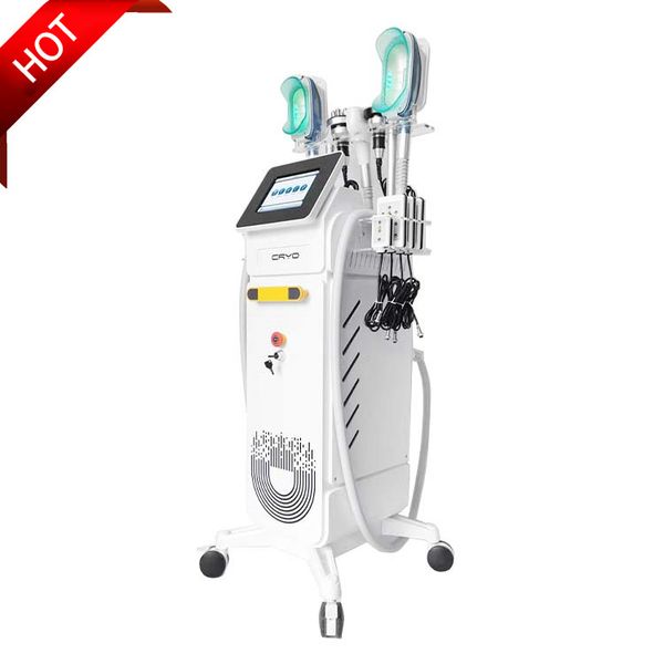 silicone cryolipolysis fat e machine with 360 degree cryolipolysis 3 handles cryo cryotherapy fat ing criolipolisis machine
silicone cryolipolysis fat e machine with 360 degree cryolipolysis 3 handles cryo cryotherapy fat ing criolipolisis machine