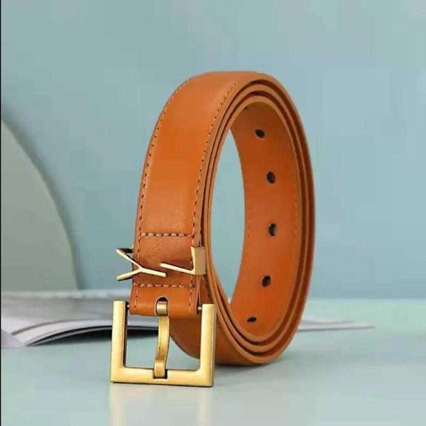 man woman leisure belt desingers luxurys brand business fashion retro decoration needle buckle belts accessories versatile dress waistbandnn, Black;brown
man woman leisure belt desingers luxurys brand business fashion retro decoration needle buckle belts accessories versatile dress waistbandnn, Black;brown