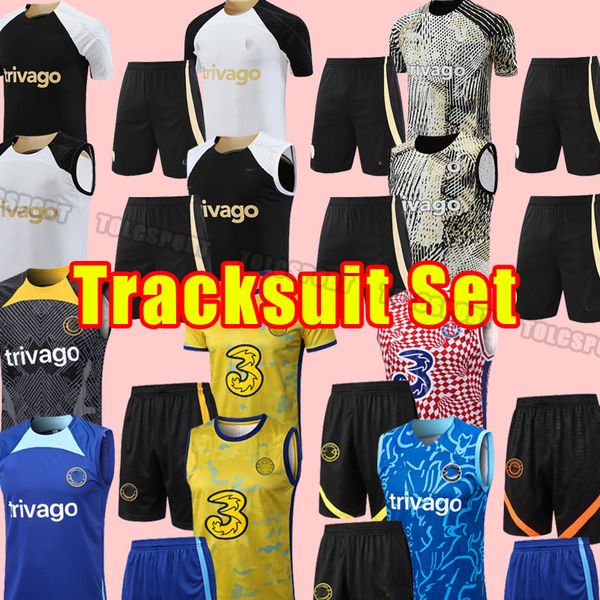 vest training cfc soccer tracksuits sterling cucurella koulibaly ziyech pulisic mount kante havertz werner chilwell 2023 chukwuemeka footbal, Black
vest training cfc soccer tracksuits sterling cucurella koulibaly ziyech pulisic mount kante havertz werner chilwell 2023 chukwuemeka footbal, Black