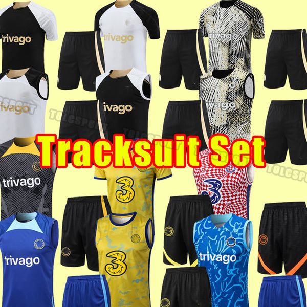 vest training soccer tracksuits cfc sterling 2023 2024 cucurella 23 24 mount football shirt kante pulisic havertz koulibaly men kits jersey, Black
vest training soccer tracksuits cfc sterling 2023 2024 cucurella 23 24 mount football shirt kante pulisic havertz koulibaly men kits jersey, Black