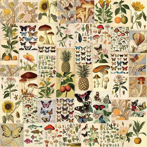 50pcs vintage plants stickers pack waterproof vinyl stickers non-random for car bike luggage lapskateboard scrapbook water bottle decal
50pcs vintage plants stickers pack waterproof vinyl stickers non-random for car bike luggage lapskateboard scrapbook water bottle decal