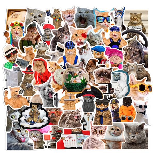 66pcs cute cat stickers, funny cat vinyl stickers decals for lapwater bottle phone luggage, sticker for kids teens boys girls l50-391
66pcs cute cat stickers, funny cat vinyl stickers decals for lapwater bottle phone luggage, sticker for kids teens boys girls l50-391