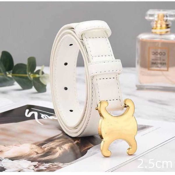 belt fashion designer belts for men womens smooth gold buckle leather ladies classic casual ceinture girdle width 2.5cm, Black;brown
belt fashion designer belts for men womens smooth gold buckle leather ladies classic casual ceinture girdle width 2.5cm, Black;brown