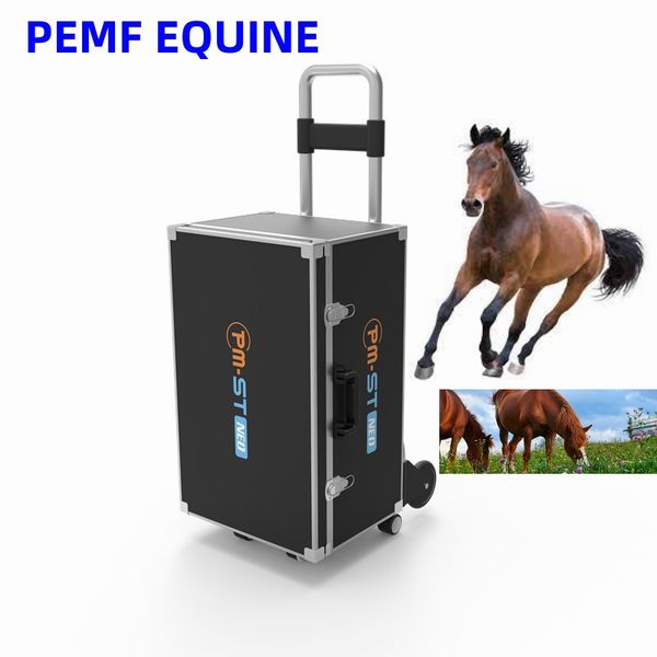 4tesla equine pemf therapy magnetic physiotherapy device treatment for a variety of equine conditions
4tesla equine pemf therapy magnetic physiotherapy device treatment for a variety of equine conditions