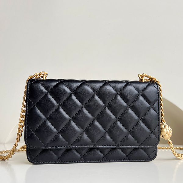 lambskin wallet on chain bag designer crossbody bag 10a luxury flap bag with box c073
lambskin wallet on chain bag designer crossbody bag 10a luxury flap bag with box c073