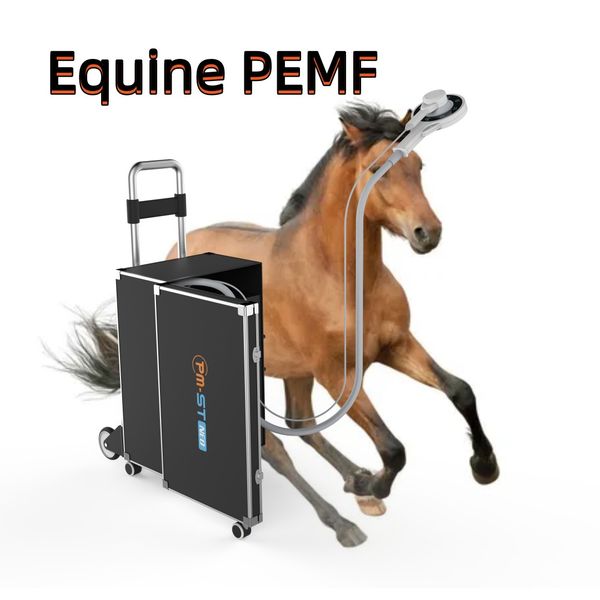 pemf equine physio magnetic device for horse pain relief with st and mt mode 4tesla energy 3000hz frequency
pemf equine physio magnetic device for horse pain relief with st and mt mode 4tesla energy 3000hz frequency