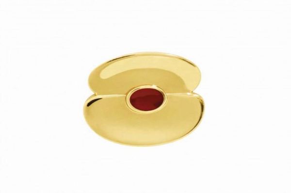 35 inch gold plated somme 100 poppy lapel pin brooch gold tone century badge4906276, Gray
35 inch gold plated somme 100 poppy lapel pin brooch gold tone century badge4906276, Gray