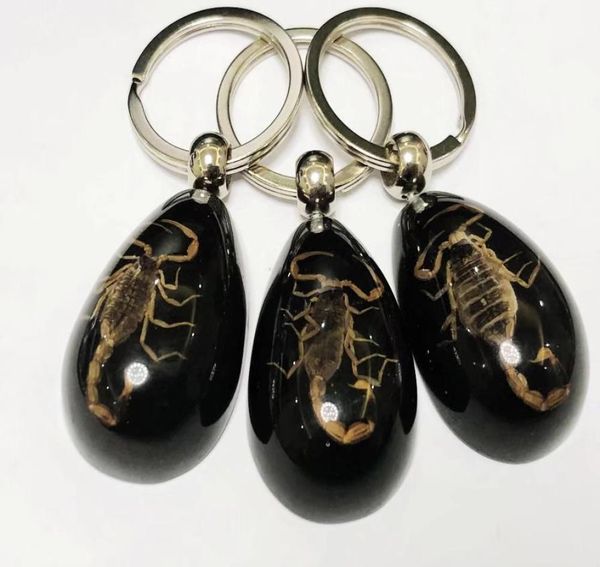 16 pcs keychains fashion accessories set real scorpion key chain black drop color product keychain car ring7765458, Slivery;golden
16 pcs keychains fashion accessories set real scorpion key chain black drop color product keychain car ring7765458, Slivery;golden