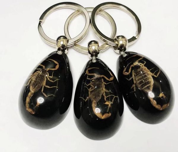 16 pcs keychains fashion accessories set real scorpion key chain black drop color product keychain car ring3585657, Slivery;golden
16 pcs keychains fashion accessories set real scorpion key chain black drop color product keychain car ring3585657, Slivery;golden