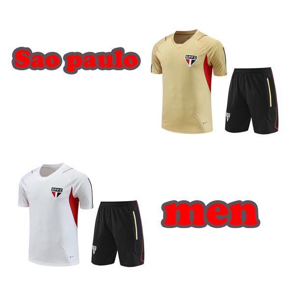 22 23 24 sao paulo trackwear soccer shirt sao paulo training shirt 2023 2024 short sleeve suit tracksuit men t shirt s-2xl, Black
22 23 24 sao paulo trackwear soccer shirt sao paulo training shirt 2023 2024 short sleeve suit tracksuit men t shirt s-2xl, Black