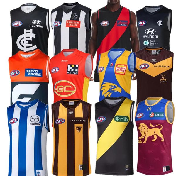 2023 afl port adelaide crows karnten jersey essendon bombers st kilda brisbane lions fremantle dockers tank gold suns hawthorn, White;black
2023 afl port adelaide crows karnten jersey essendon bombers st kilda brisbane lions fremantle dockers tank gold suns hawthorn, White;black