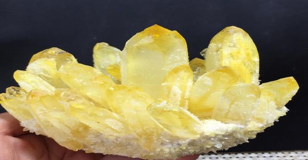 new find yellow phantom quartz crystal cluster mineral specimen healing4670279, Black
new find yellow phantom quartz crystal cluster mineral specimen healing4670279, Black