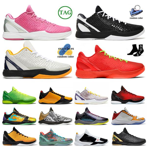 grinch k0be 6s protro basketball shoes black mamba 6 mens trainers jordens mambacita think pink white del sol chaos 5 zapatos casual designe
grinch k0be 6s protro basketball shoes black mamba 6 mens trainers jordens mambacita think pink white del sol chaos 5 zapatos casual designe