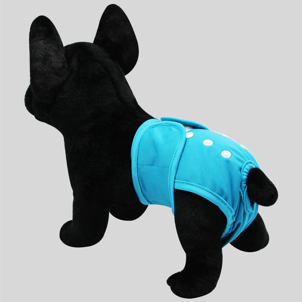 Washable Female Dog Diapers - No Leak Reusable Diapers for Doggy Female in Period - Highly Absorbent Dog Heat Panties with Adjustable Snaps, Multicolour
Washable Female Dog Diapers - No Leak Reusable Diapers for Doggy Female in Period - Highly Absorbent Dog Heat Panties with Adjustable Snaps, Multicolour