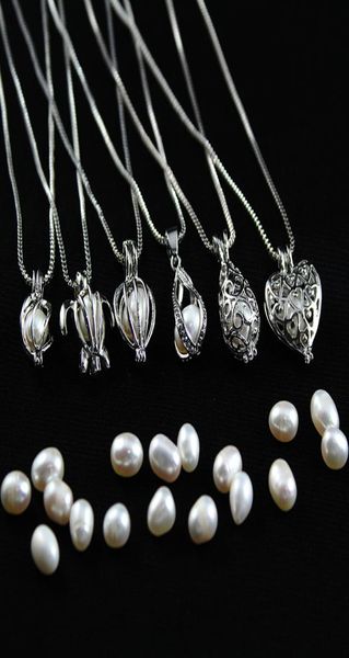 whole love wish pearl cages locket necklace hollow out oyster pearl pendant necklace freshwater pearl shark mermaid jewelry9872498, Silver
whole love wish pearl cages locket necklace hollow out oyster pearl pendant necklace freshwater pearl shark mermaid jewelry9872498, Silver