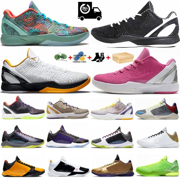 mamba 6 basketball shoes mens protro prelude alternate grinch bruce lee del sol think pink hall of men trainers outdoor sneakers
mamba 6 basketball shoes mens protro prelude alternate grinch bruce lee del sol think pink hall of men trainers outdoor sneakers